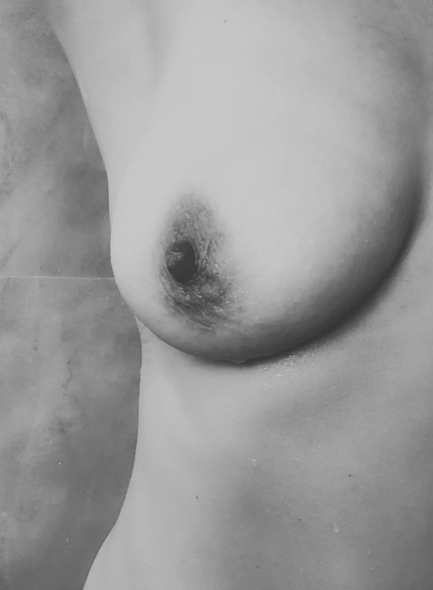 (f)50 Trace the curves