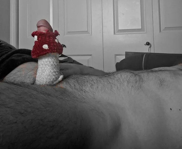 A mushroom sprouts to spread its spores