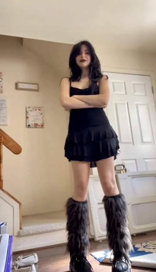 Do you think you can tame me?