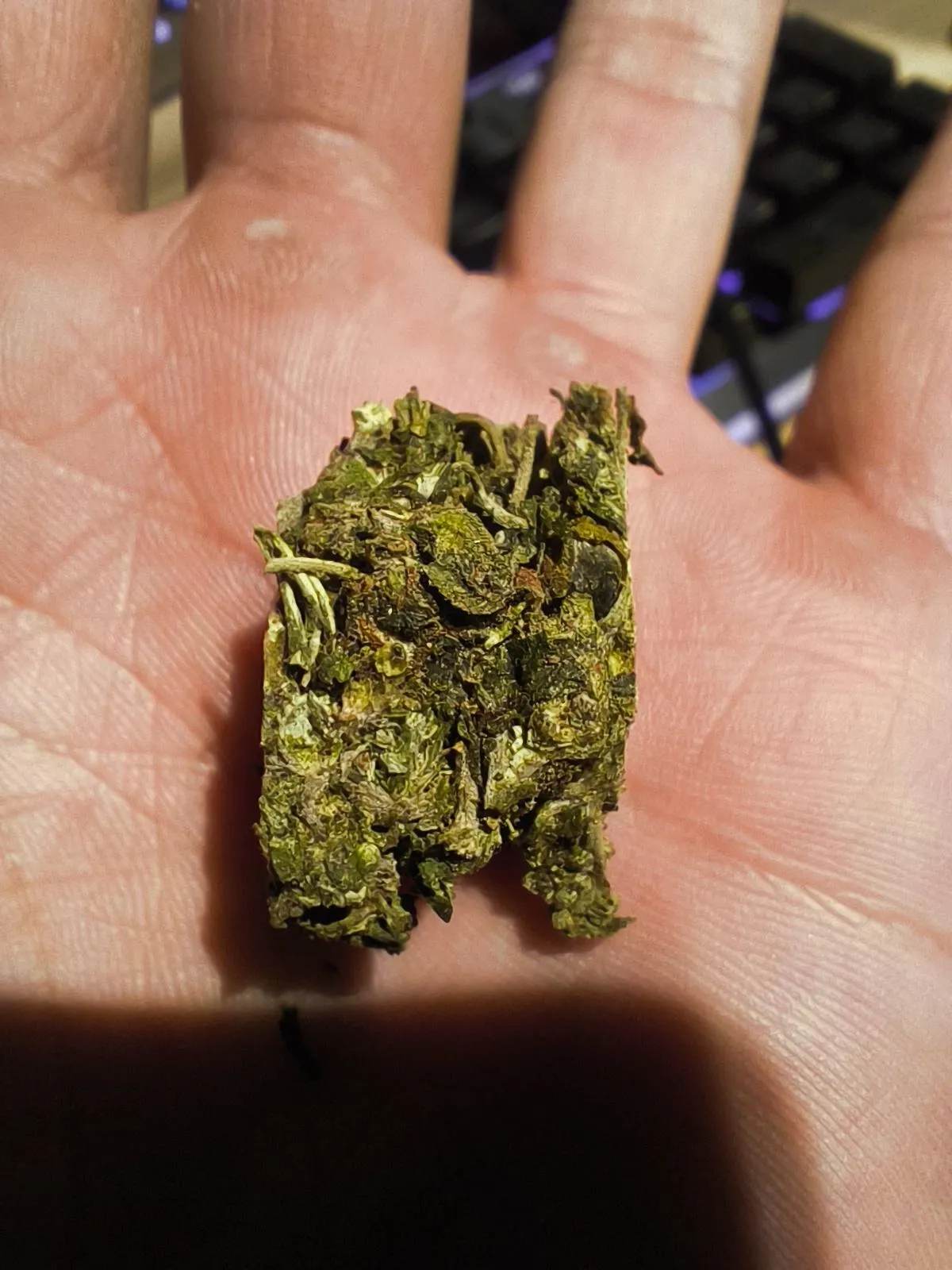 Essa maconha ta boa??