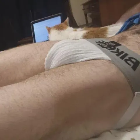 Grey Bike with a 3 inch waistband