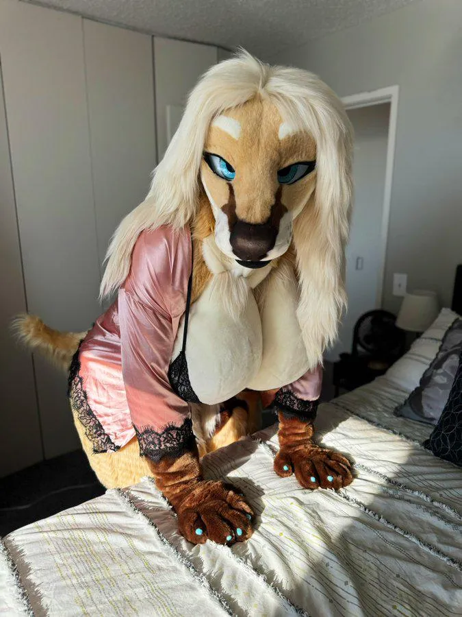 Im scared of Single furry chicks That dm me (pls dont i beg)