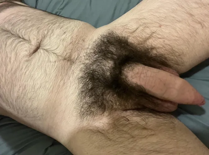 Just my hairy cock ;)
