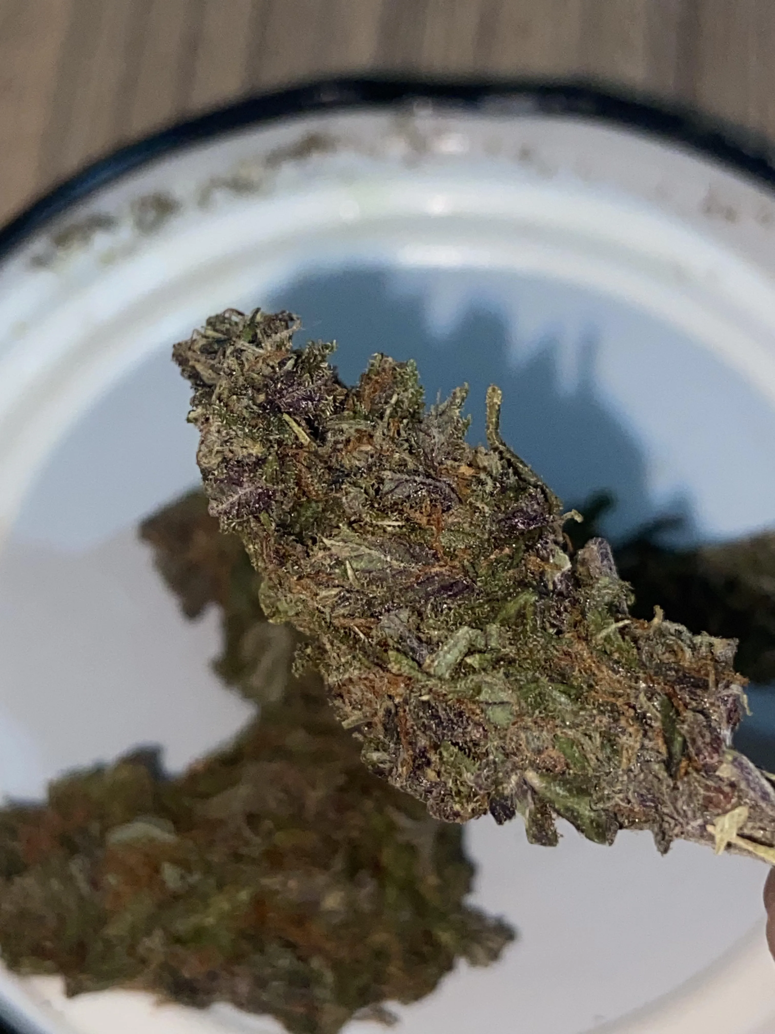 Segurei uma purple pela 1 vez