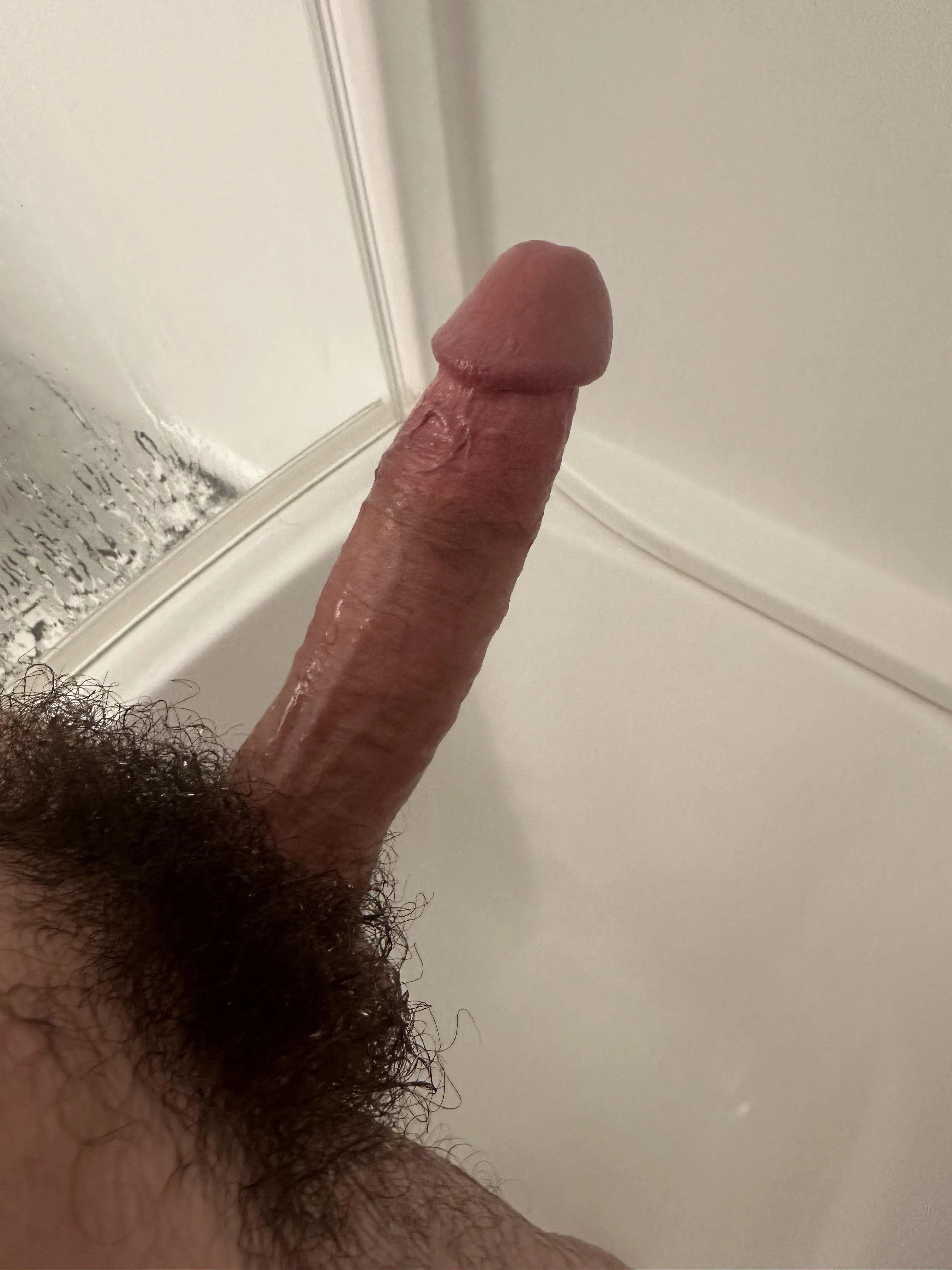 Shower bush
