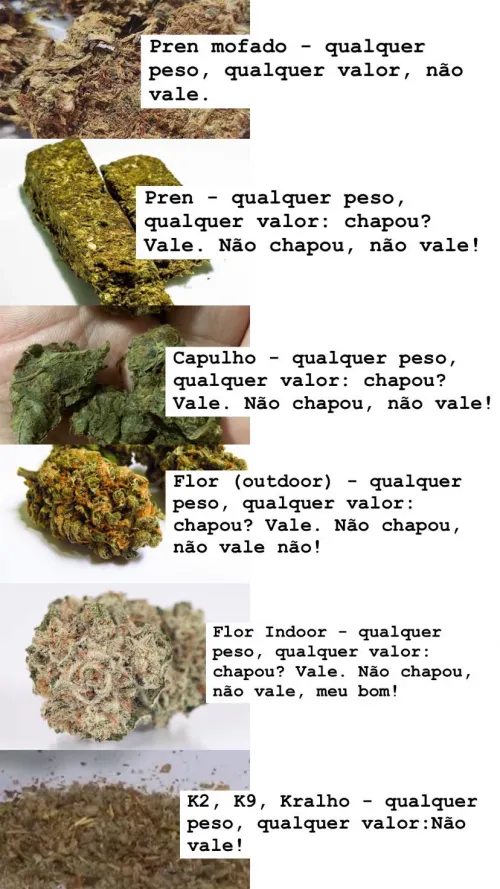 Terminei meu Pos-Doc e gostaria de compartilhar com a comunidade.