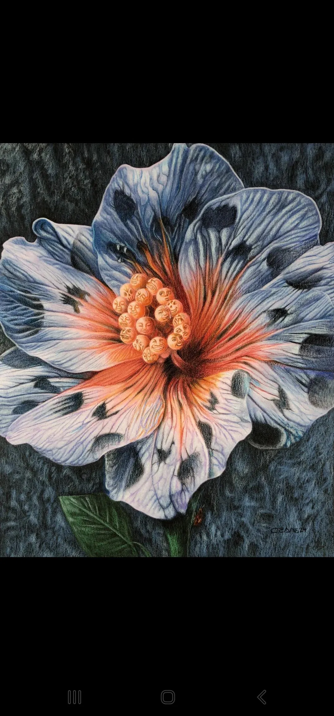 34m4f Raleigh- clean, normal... just looking for fun.