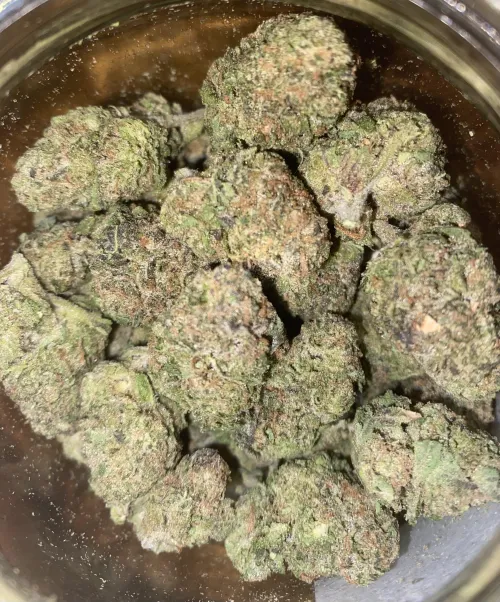 818 OG Greenhouse Mediums SHM