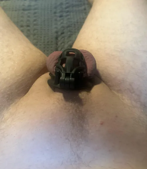 Freshly shaved and ready to cum