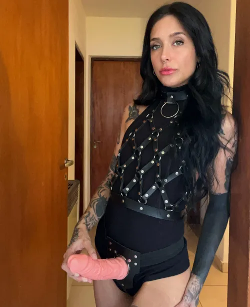 Get on all fours and obey me