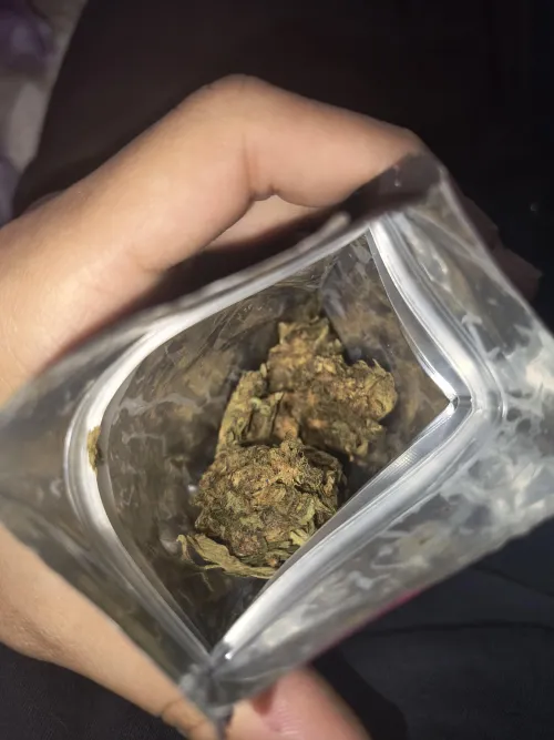 15 g de Colômbia gold