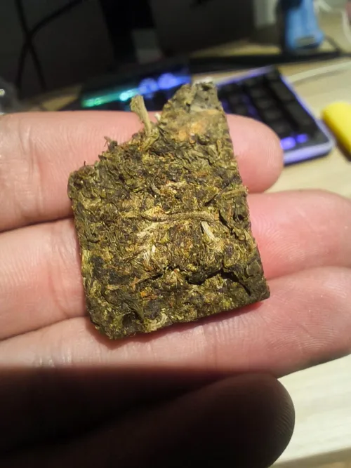 2ª maconha que ganho do meu chefe