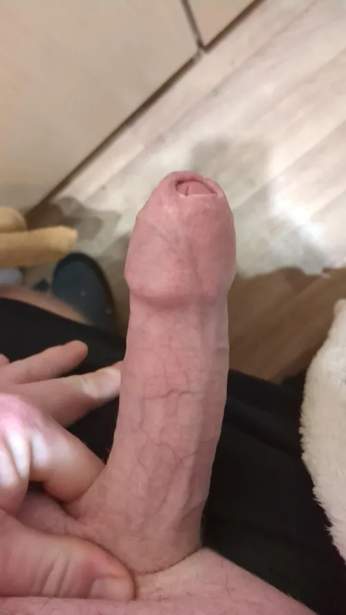 (50) who's up to help me with this