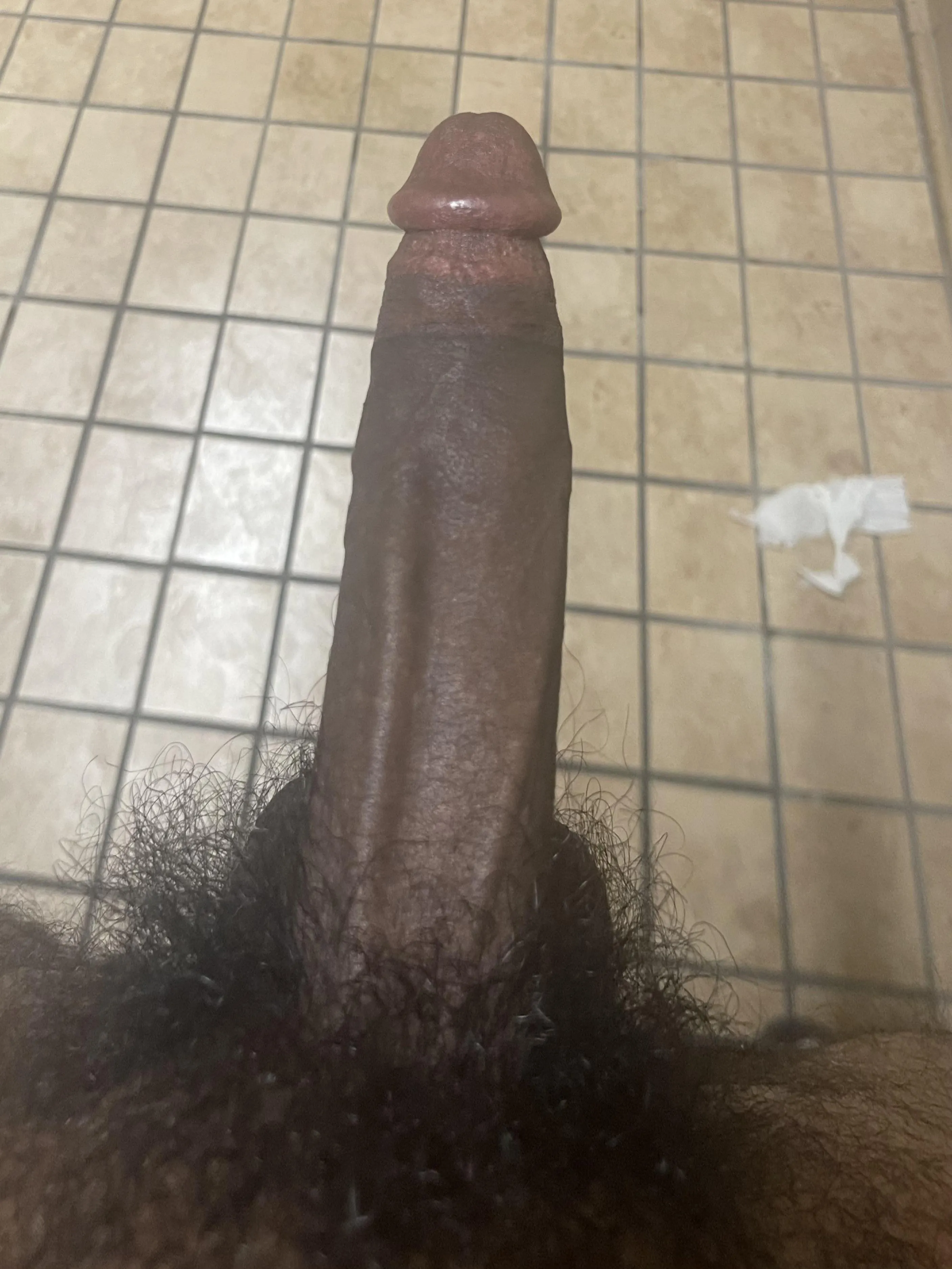 Come give it attention