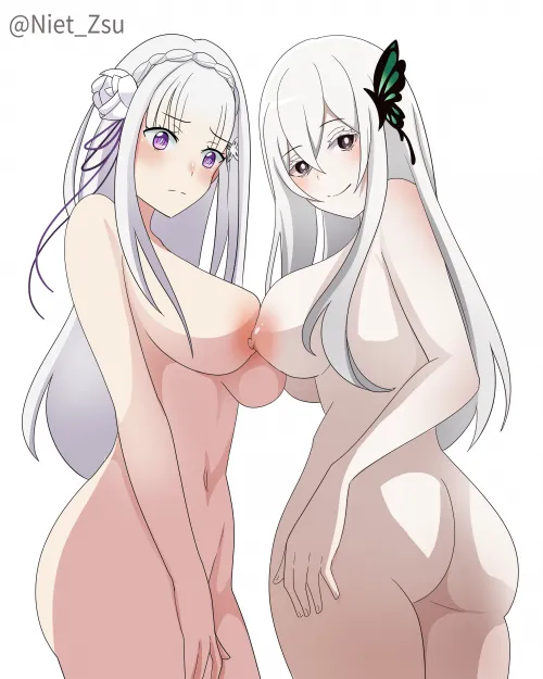 Echidna and Emilia (@Niet_Zsu)