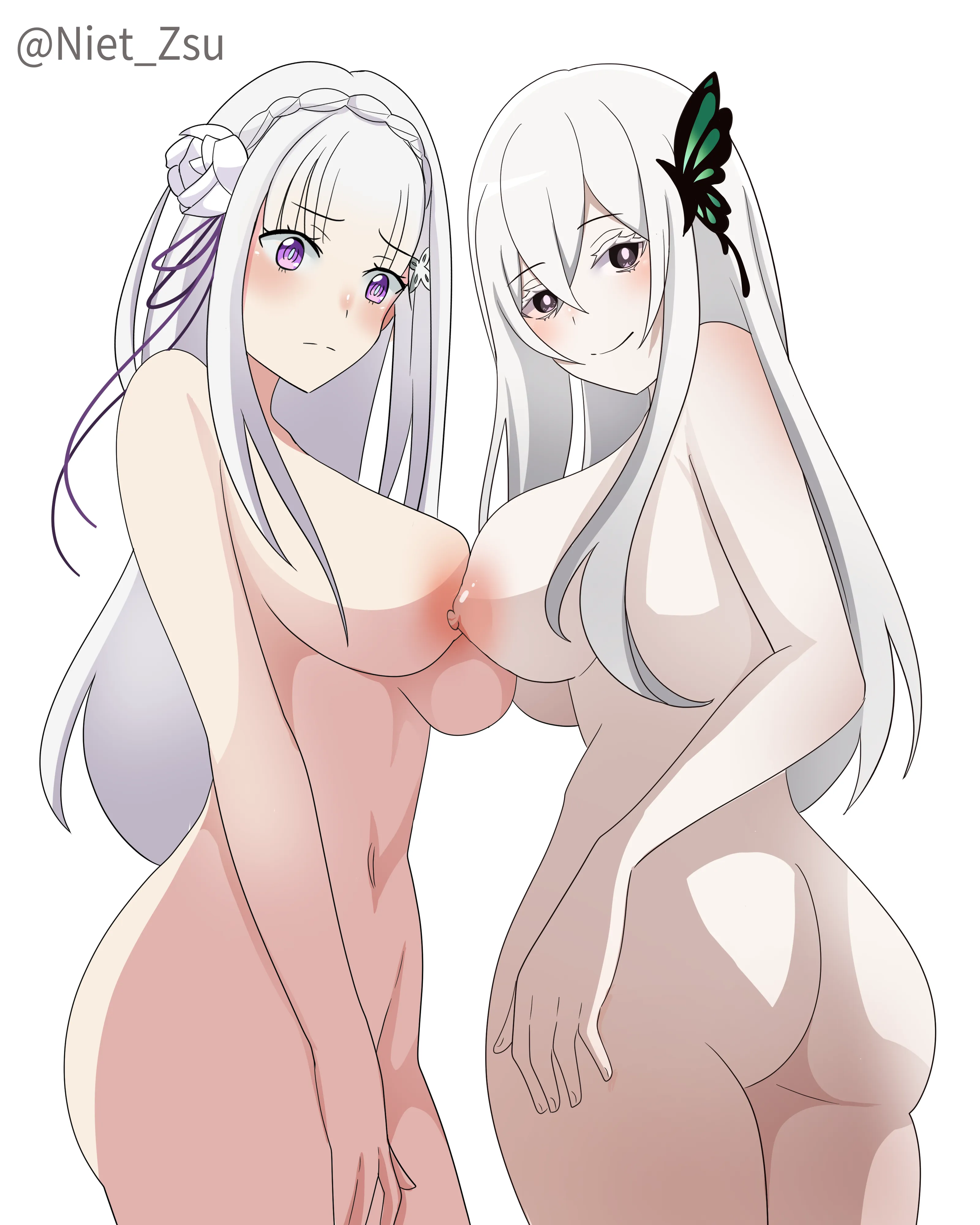 Echidna and Emilia (@Niet_Zsu)