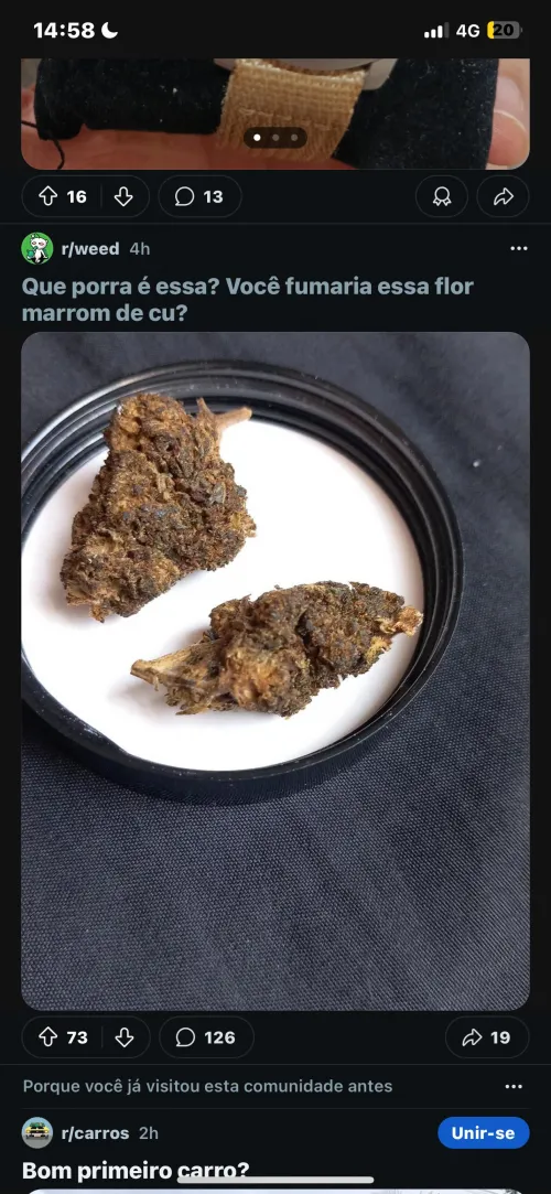 Gringos falando mal do que por aqui é fumável. incrível a diferença de paladar viu