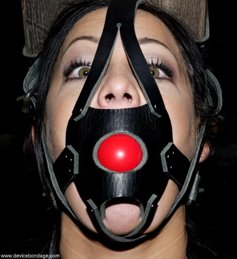 Harness gags are the best gags