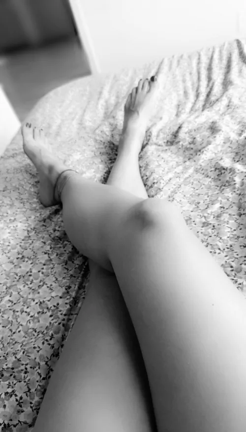 let’s bee-bop, baby