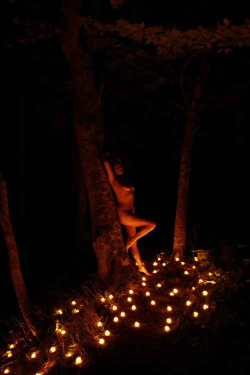 Lighting up the forest [oc]