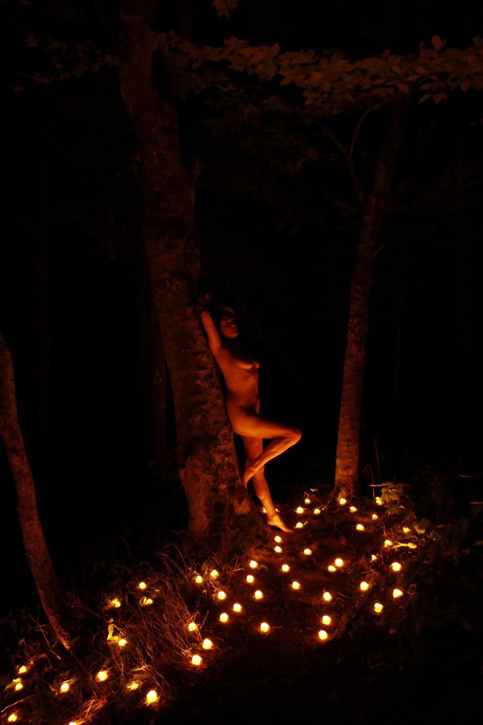 Lighting up the forest [oc]