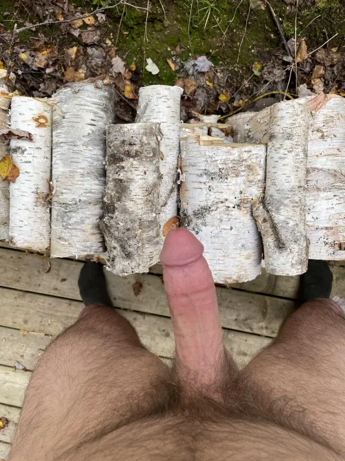 Stacking wood