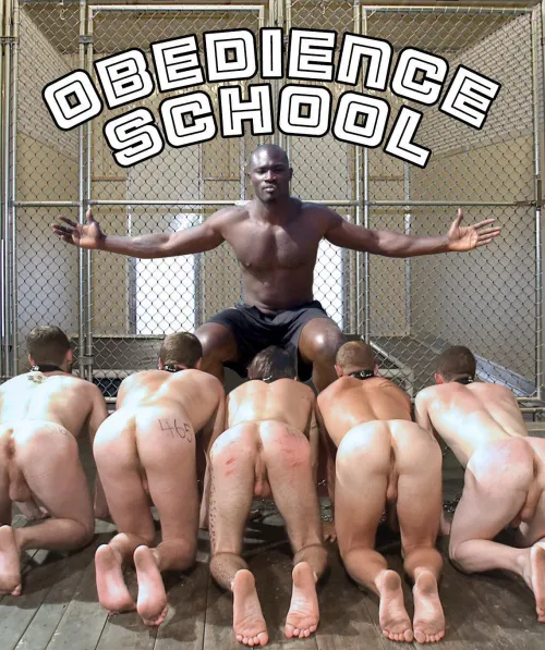 BNWO bootcamp, enlist today!