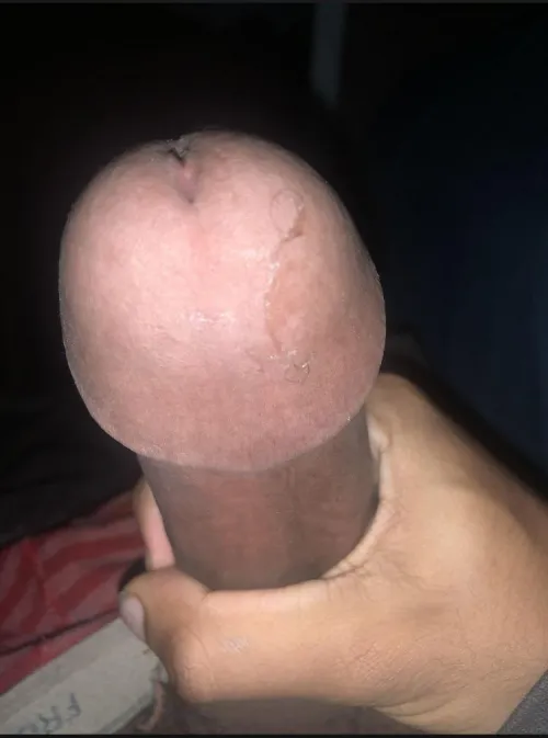 Which hot wife can I breed ? With this monster