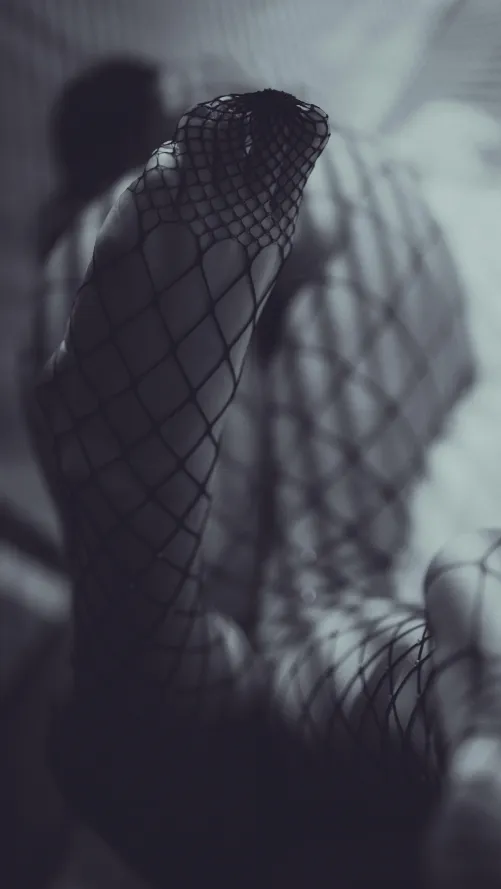 Entangled in Shadows: A Play of Light, Lace, and Desire