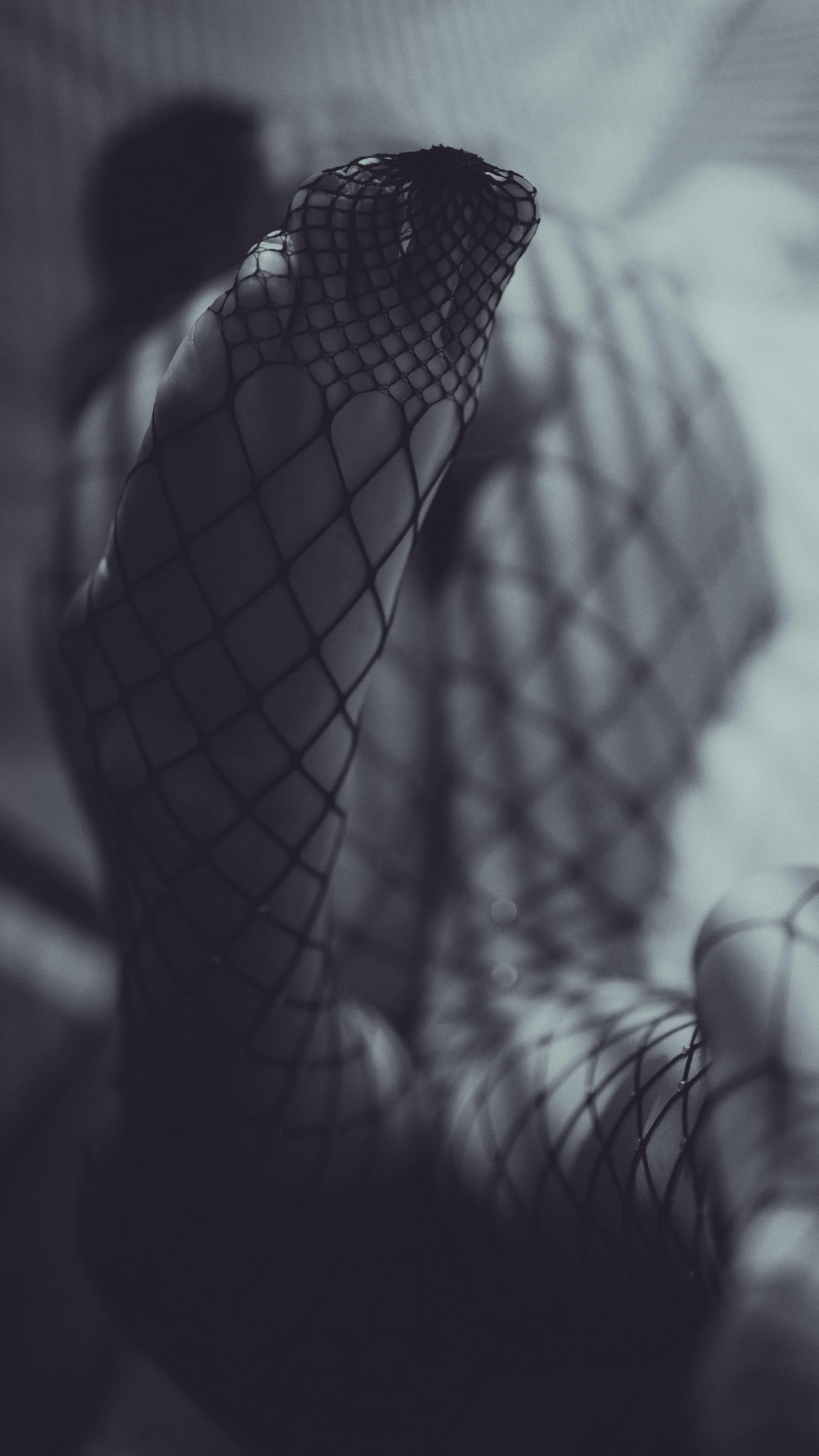 Entangled in Shadows: A Play of Light, Lace, and Desire