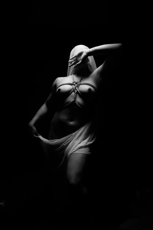 I really enjoy the look this single top softbox look is giving my photos