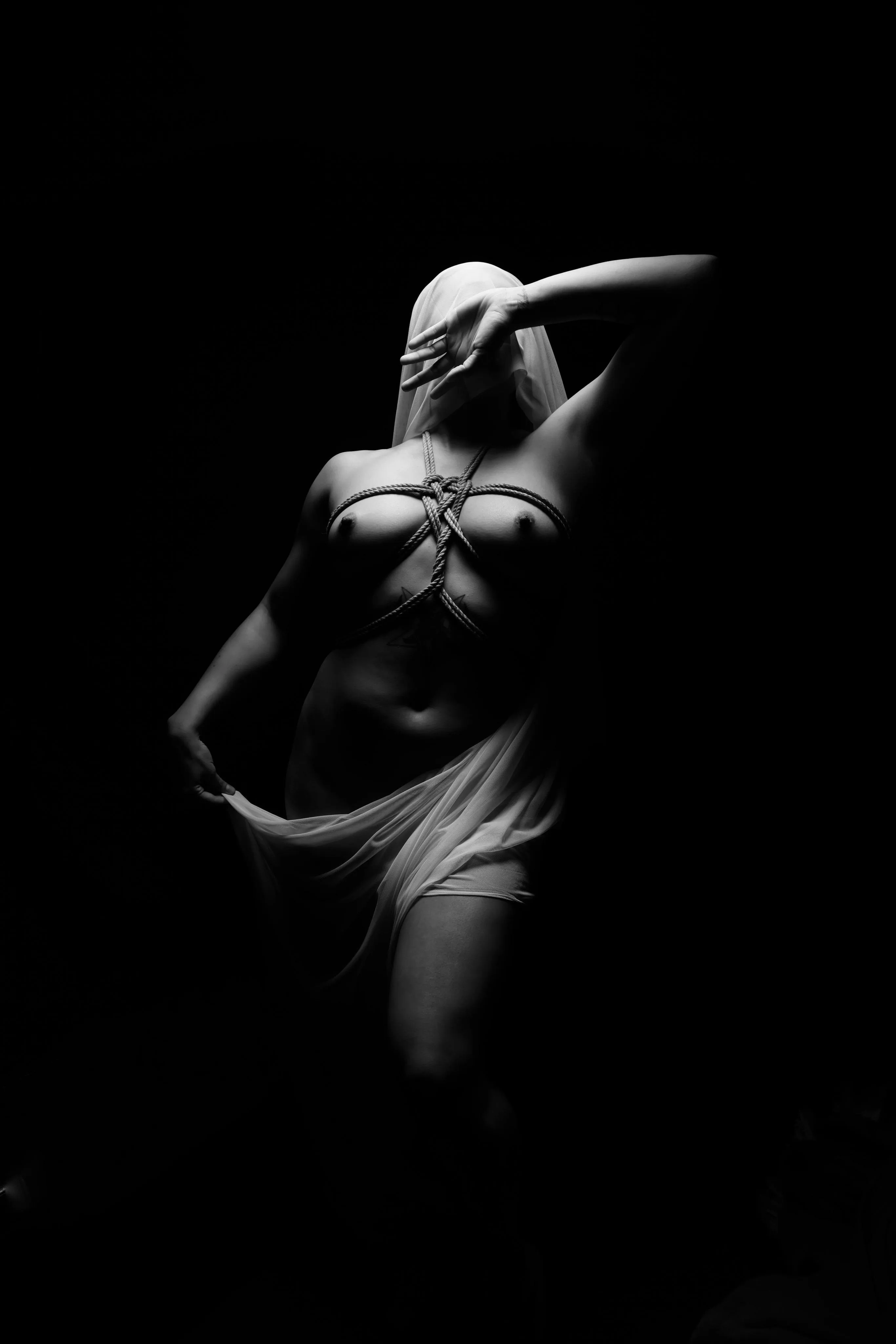 I really enjoy the look this single top softbox look is giving my photos