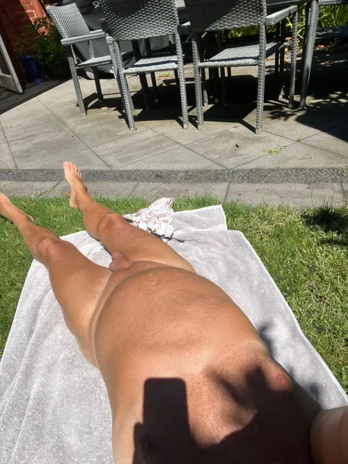 Enjoying the sun in my yard