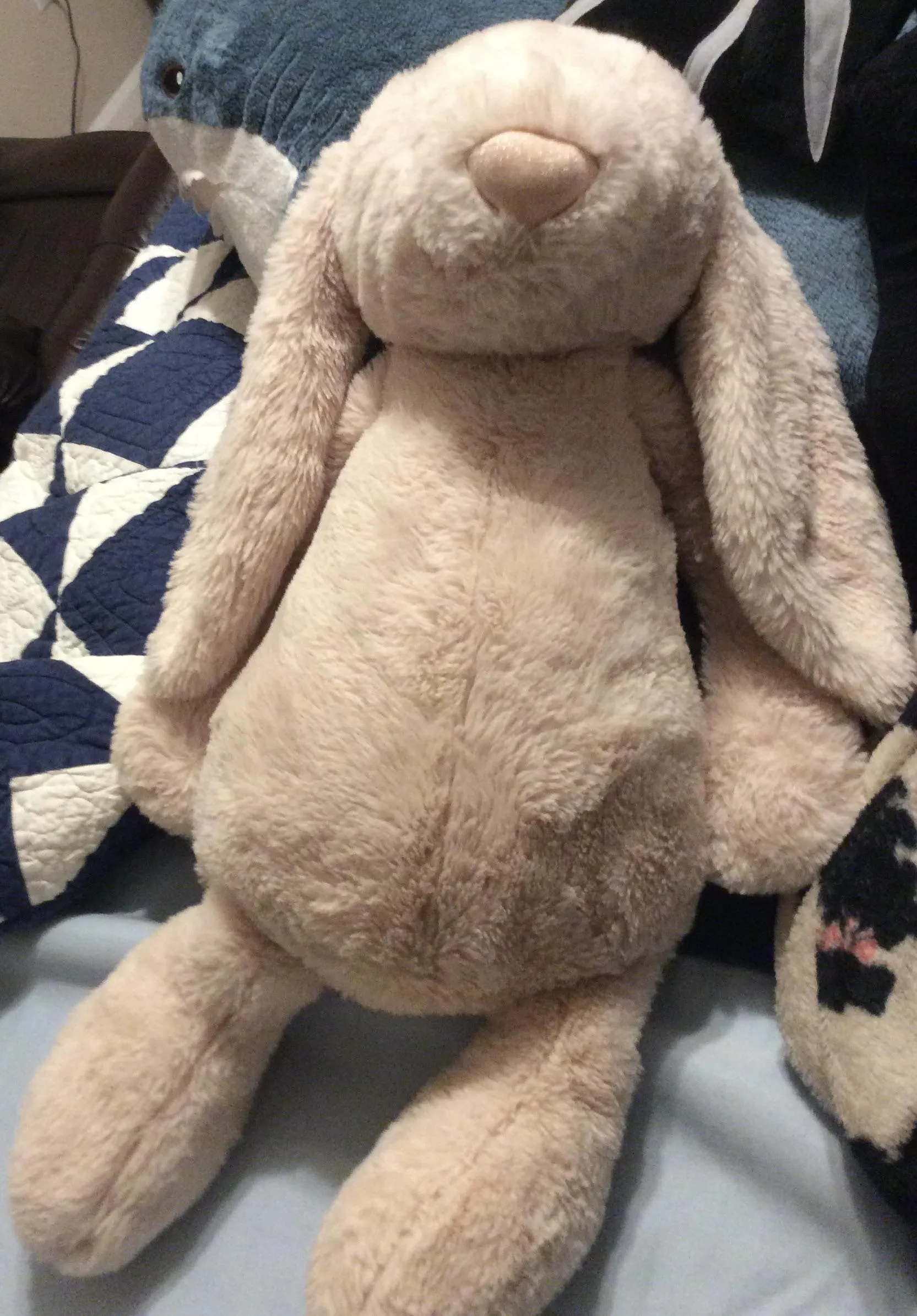 Hi friends! I got her recently! Who wants to breed her?