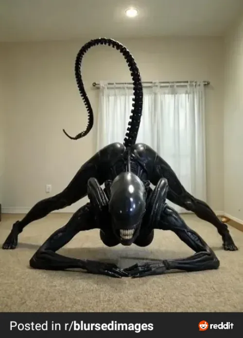 In space nothing can hear you cream