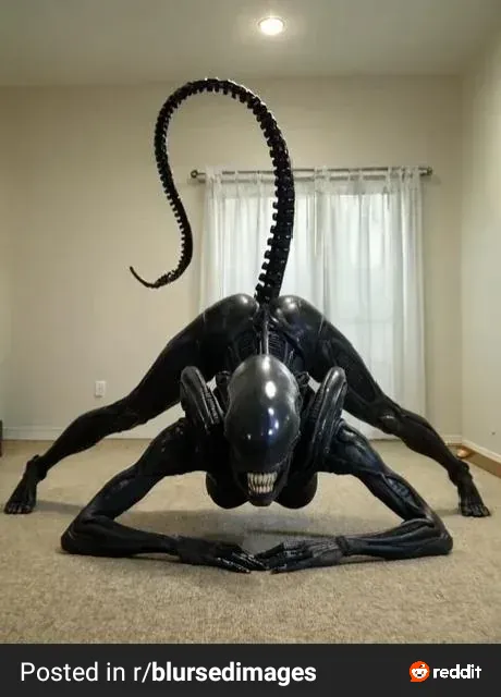 In space nothing can hear you cream