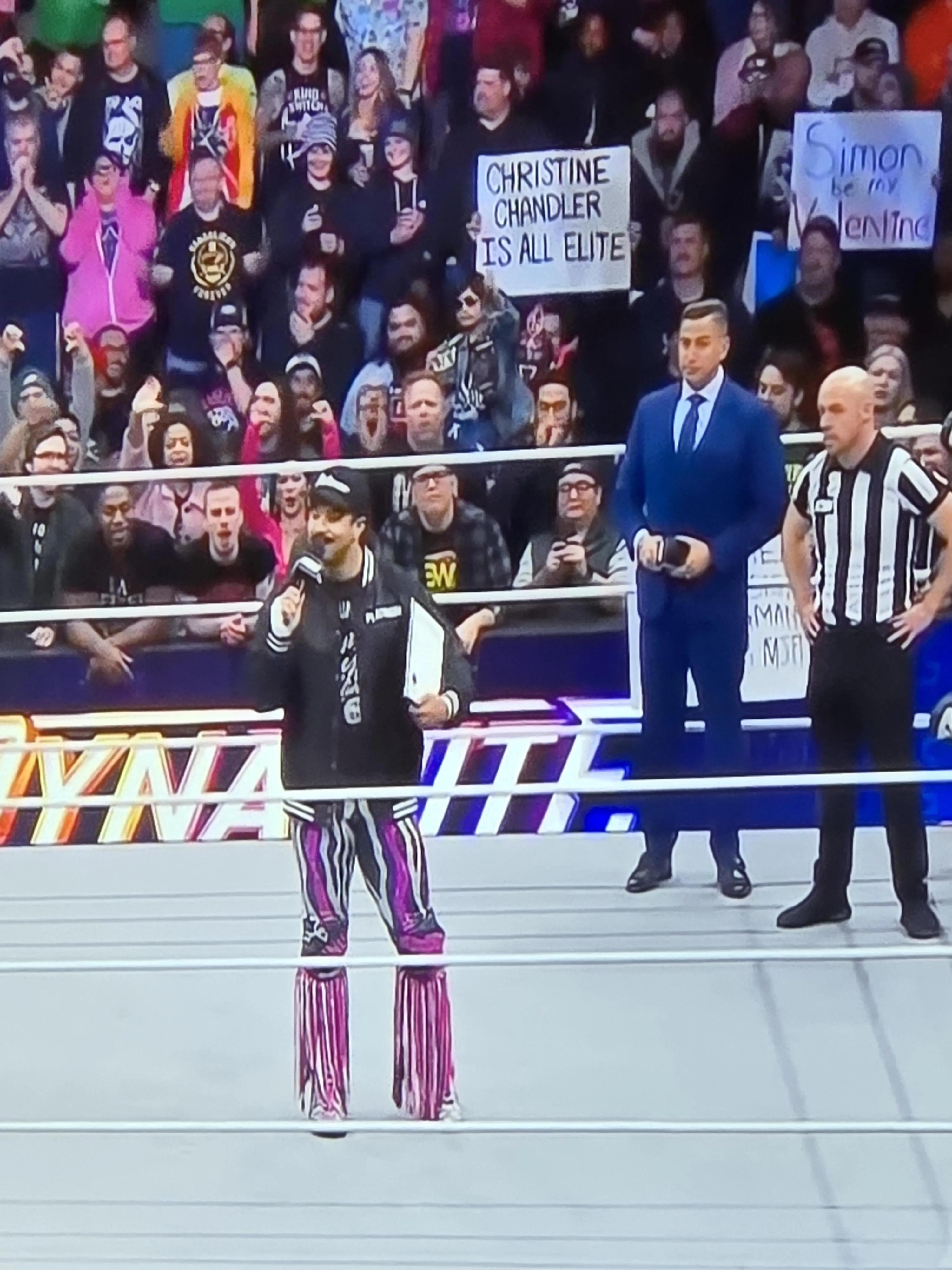 The Chris Chan wrestling signs are spreading...