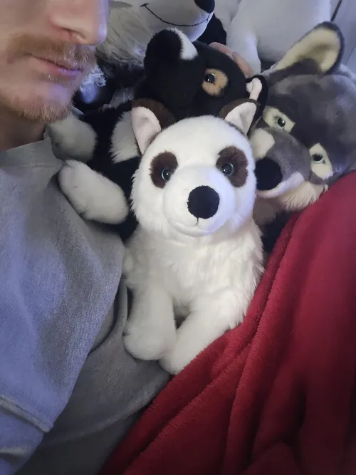 Yeah sorry, I just really like this picture I took... that'll be all! Good day ❤️