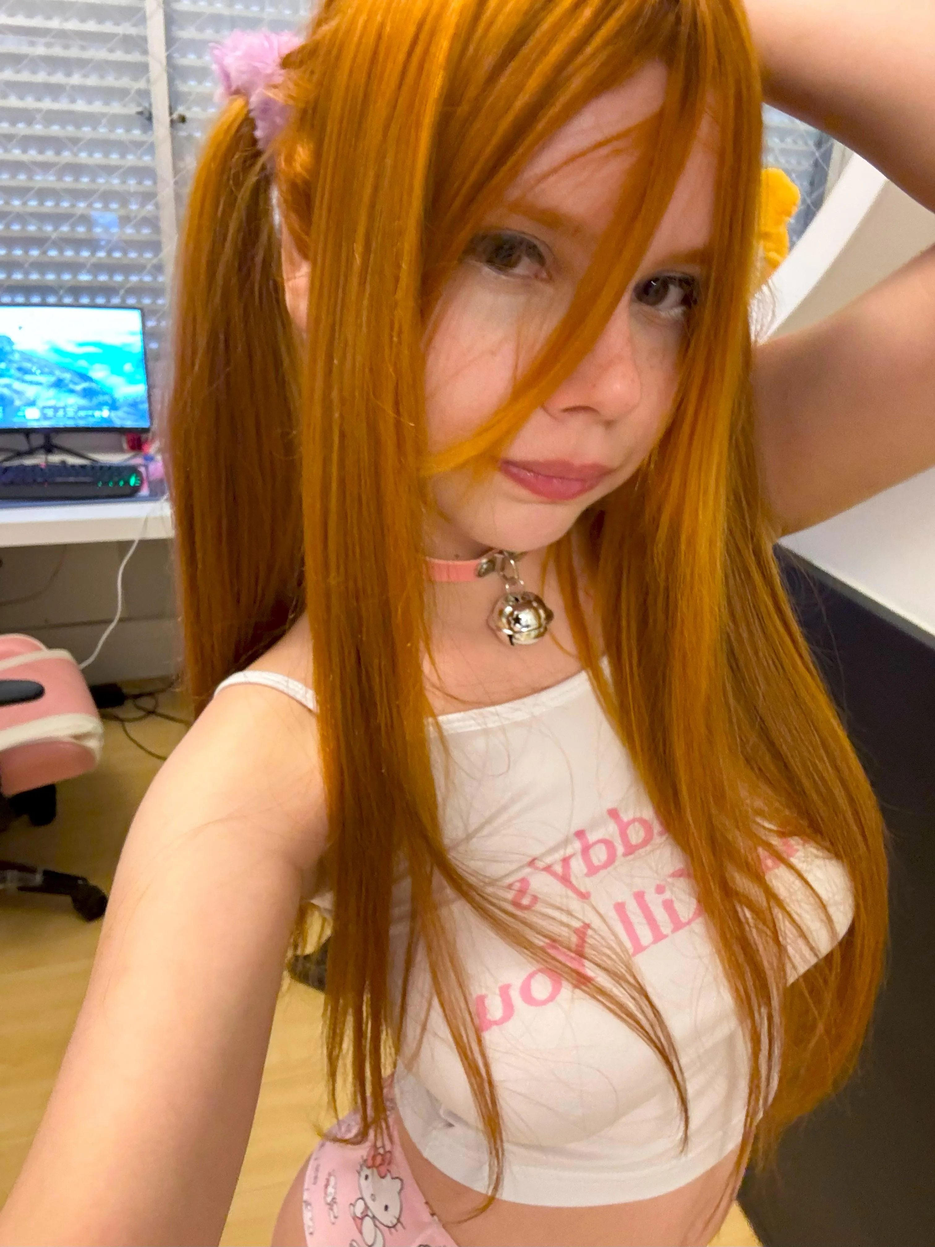 A cute pet that can play with you