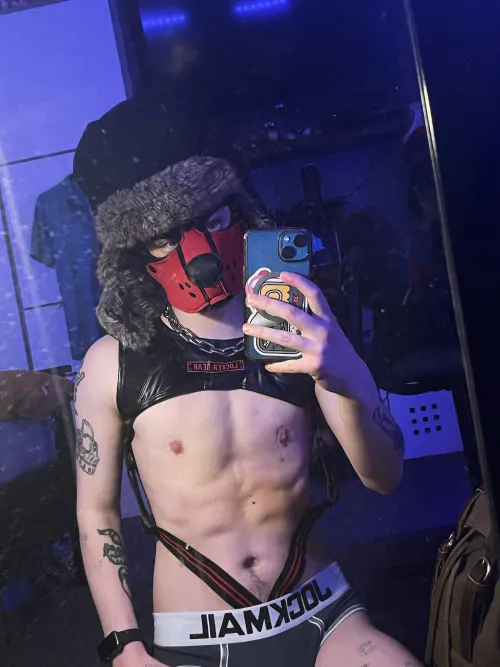 Am I a good boy!? >:3