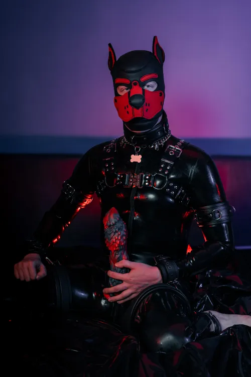 Can you enjoy the toys with me?