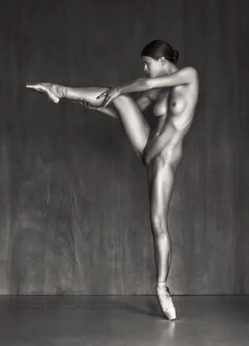 Loaded Gun, by Thomas Holm