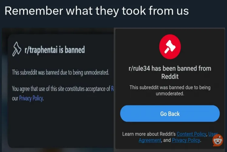 Massive NSFW sub purge