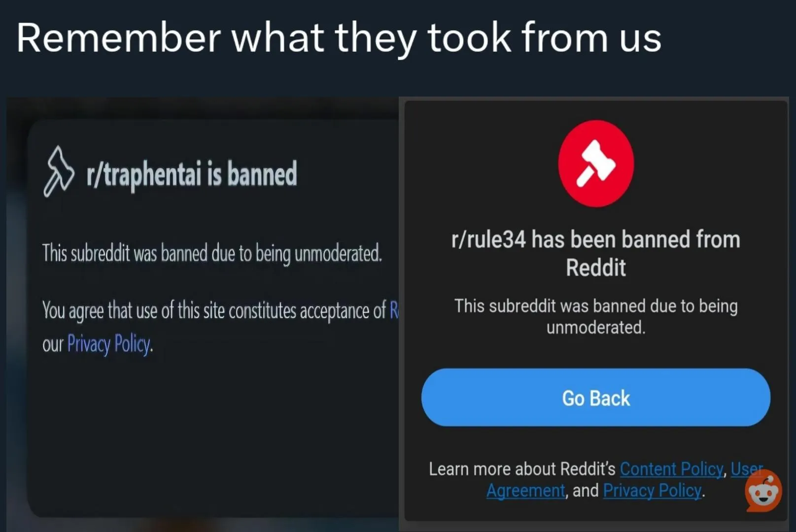 Massive NSFW sub purge