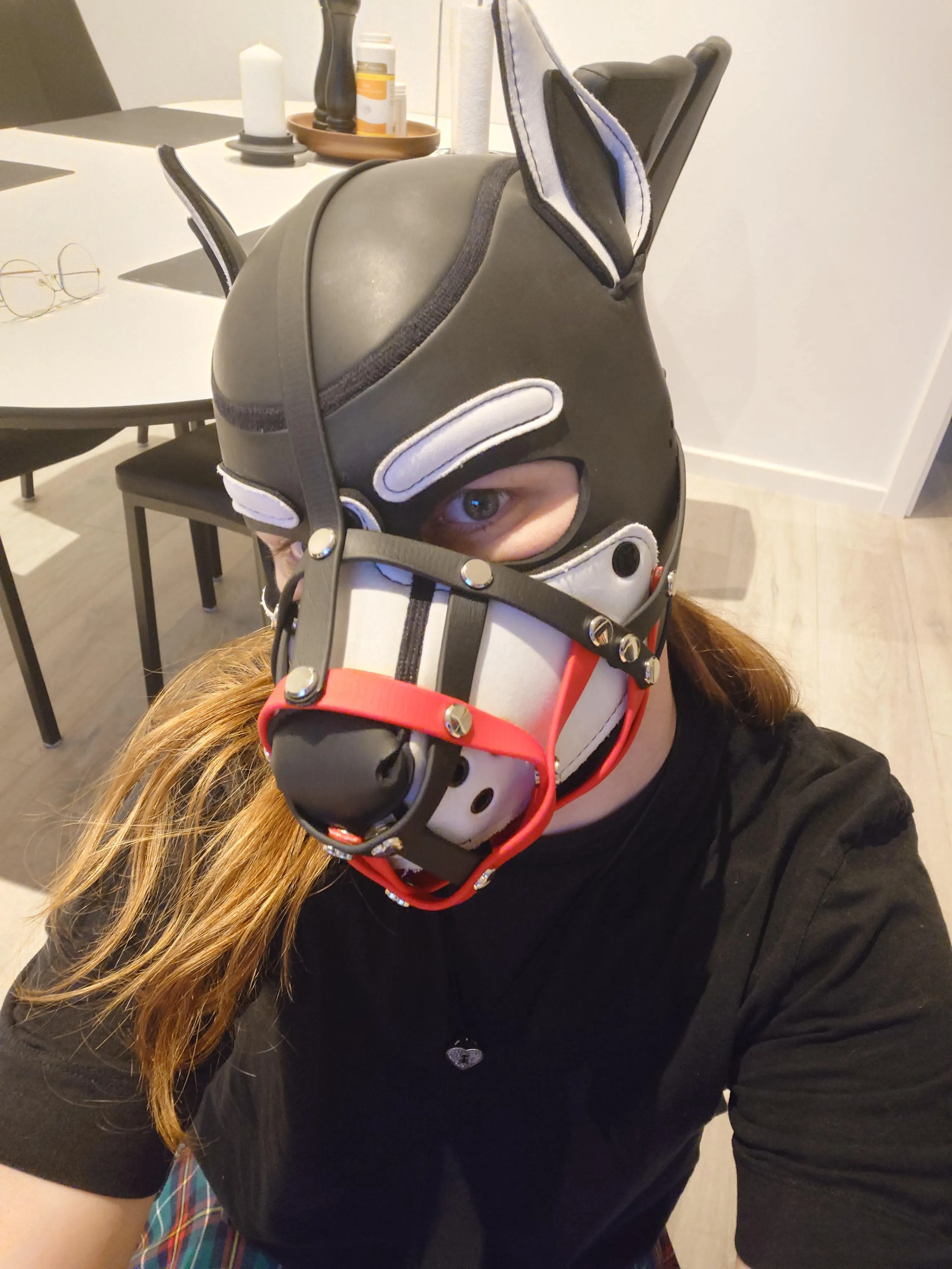 Puppy girl got muzzled 🥺 Now I can't bite 😭