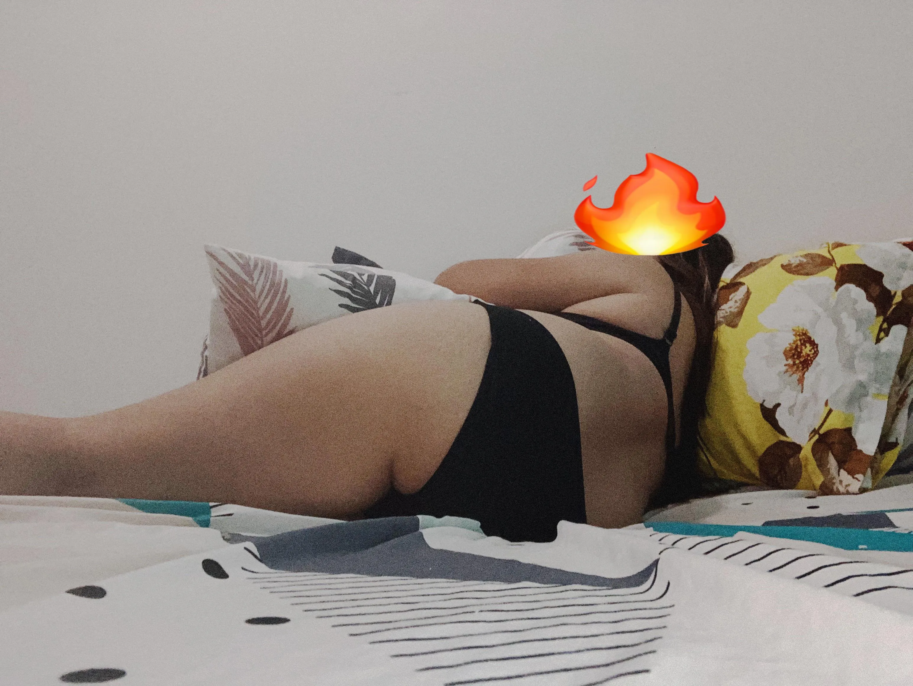 Still looking for couple, bull or uni