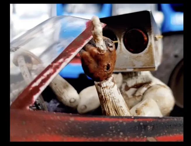 I have just hired this robot to follow you around all day for the next week doing nothing but saying FUCK YOU 🤖