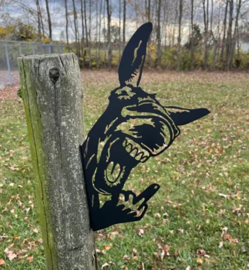 So I see someone recently posted a picture of their ass on here. This sets a precedent we may regret. That said, here is *MY* ass...