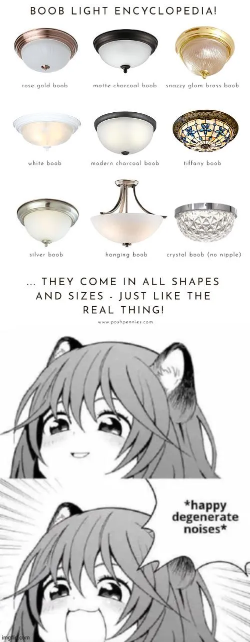 enjoy thiss meme I made :3