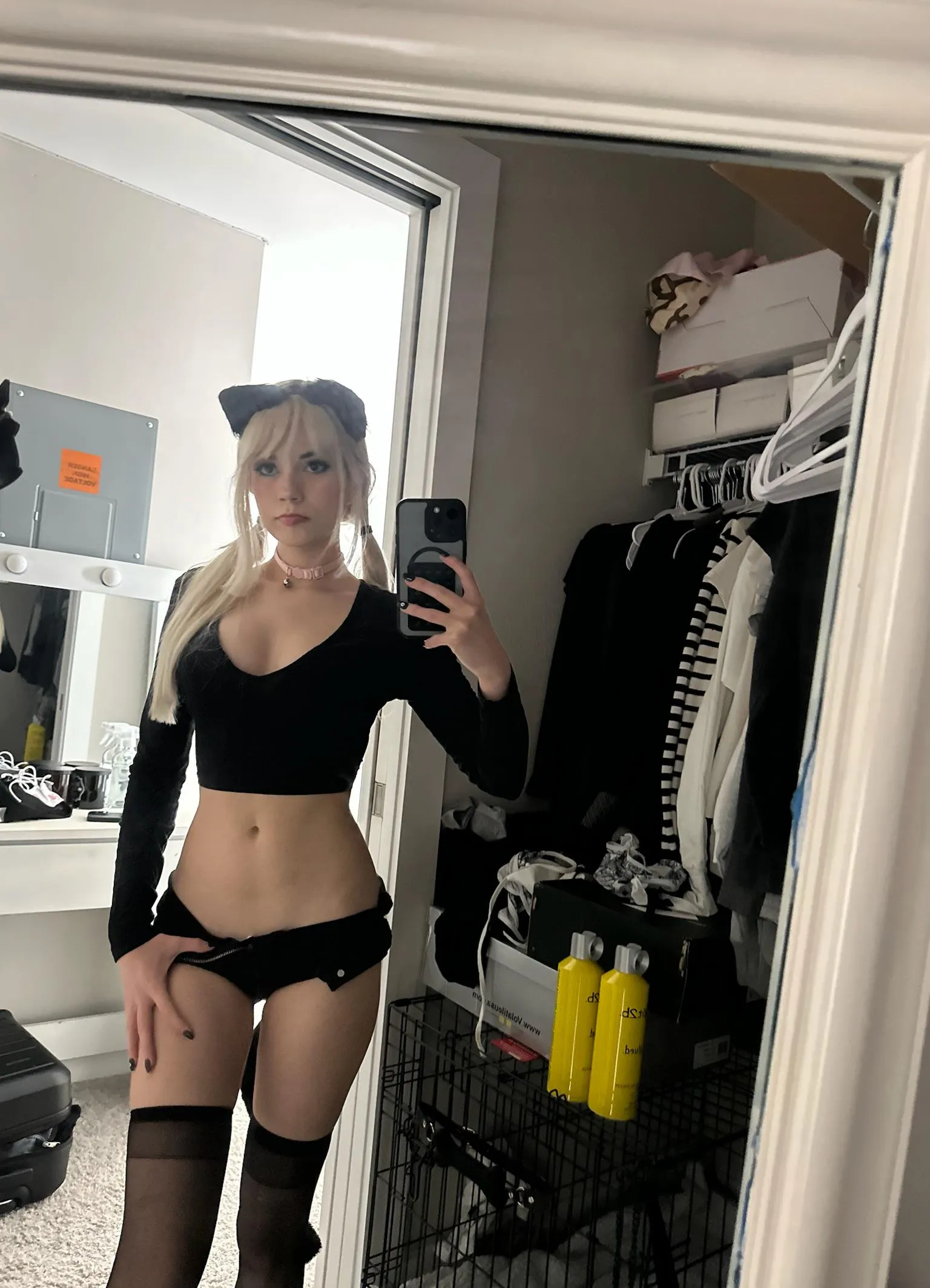 good kitties get rewards… but what about naughty ones?